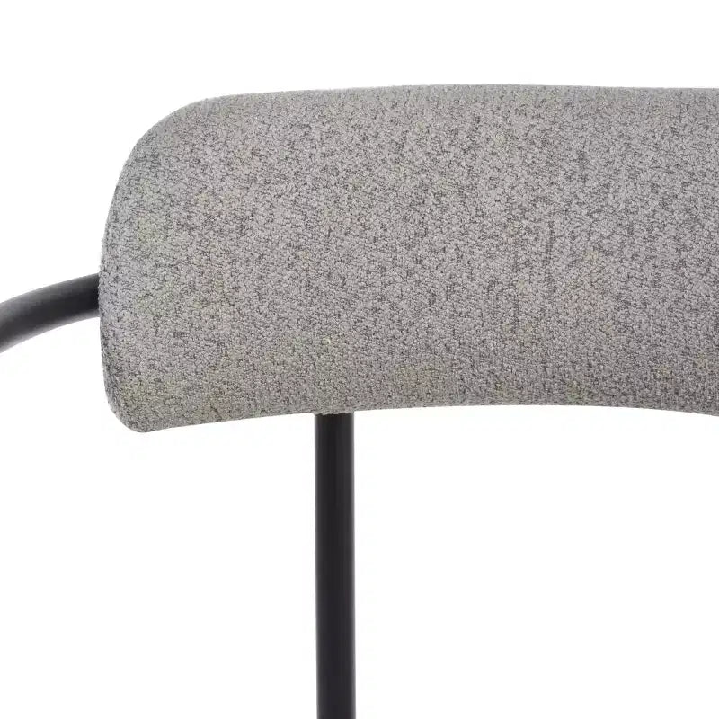 Chaise de salle à manger Andrean (lot de 2) - DCH3901 - Safavieh