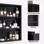 PexFix Armoire de toilette 28 x 20 avec miroir Cadre en acier inoxydable et 2 étagères réglables Armoires à pharmacie murales Miroirs Rectangulaire Encastré Noir