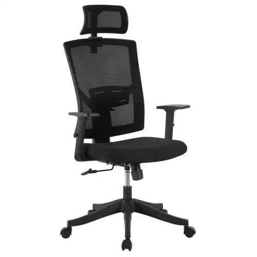 Acekool Black Ergonomic Mesh Office Chair with Adjustable Support for Home and Office