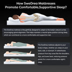 Matelas respirant rafraîchissant SweDrea Plush hybride en mousse à mémoire de forme 8/12 po avec certifications CertiPUR-US, SGS et OEKO-TEX