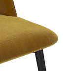 Chaise d'appoint en velours pieds noirs (Lot de 2)