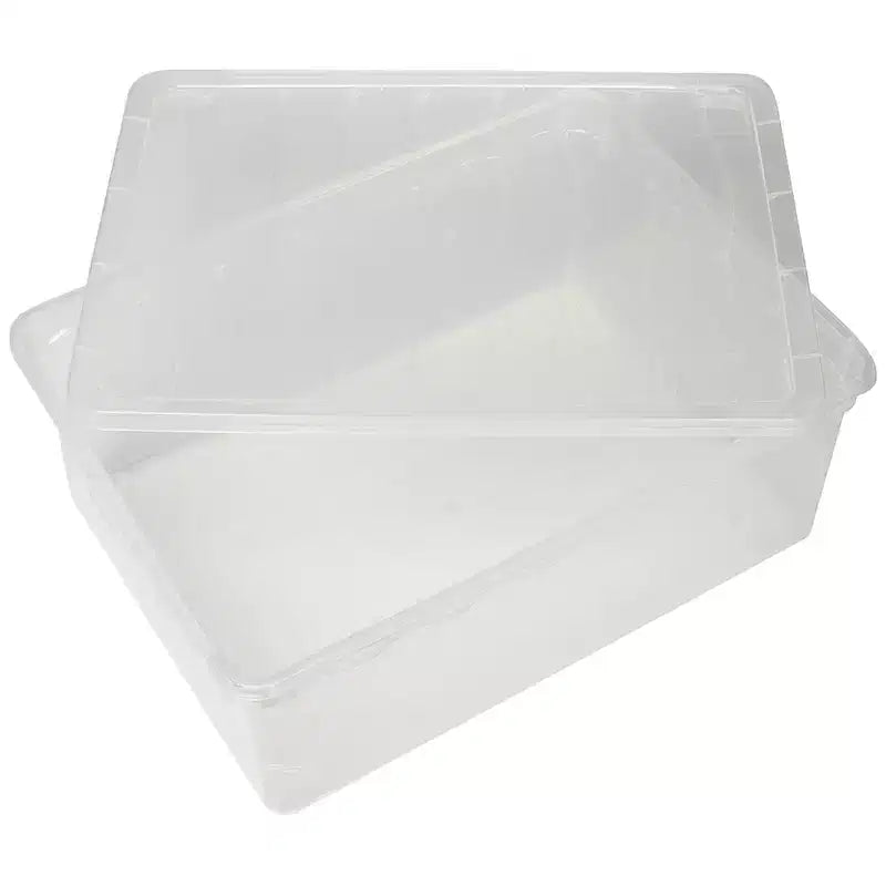 Basicwise Boîtes de rangement transparentes pour chaussures avec couvercles - Bac de rangement en plastique empilable pour placard, rangement de baskets, accessoires - Incassable, ajustement sécurisé
