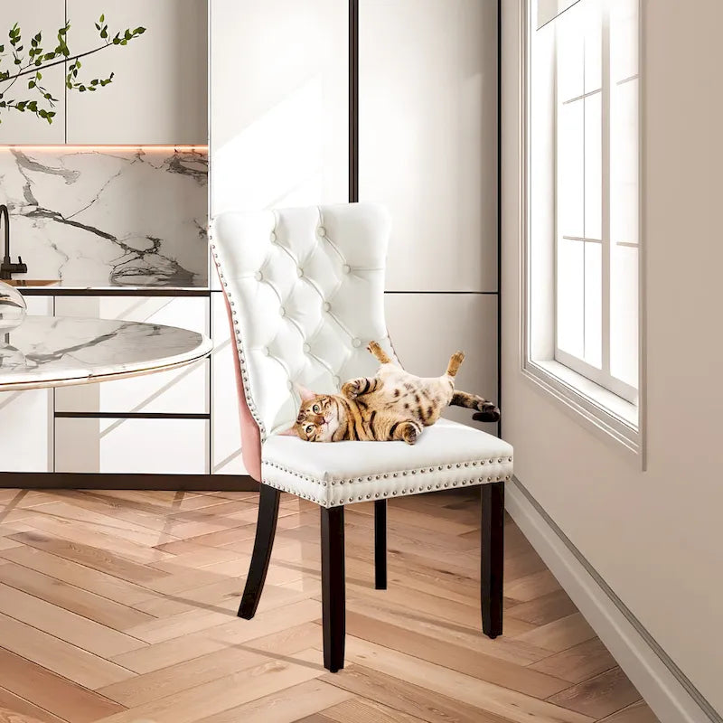 Chaises de salle à manger modernes en velours capitonné (lot de 4)